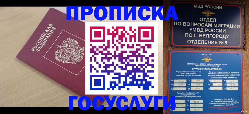 прописка законно в Калаче